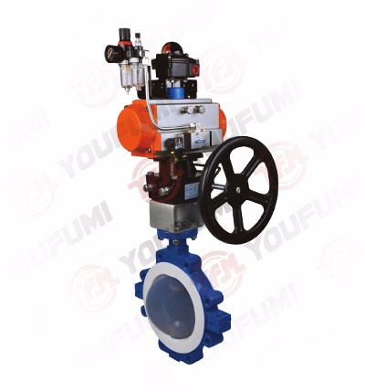 Lug Type Lined Butterfly Valve