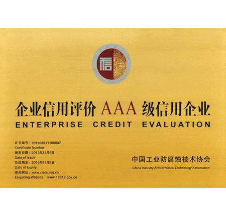AAA Credit Enterprises